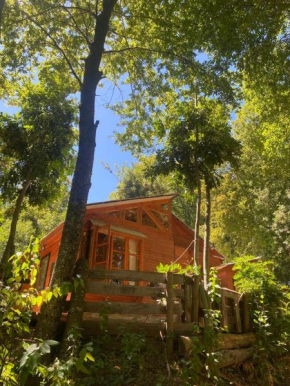 Casa en bosque